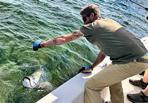 Key West Tarpon Season In Full Swing .